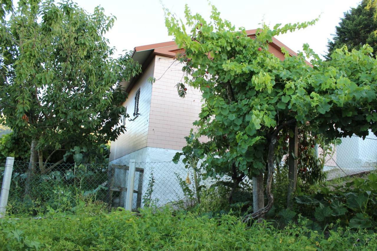 Alojamento Da Ribeirinha Carquere Bagian luar foto