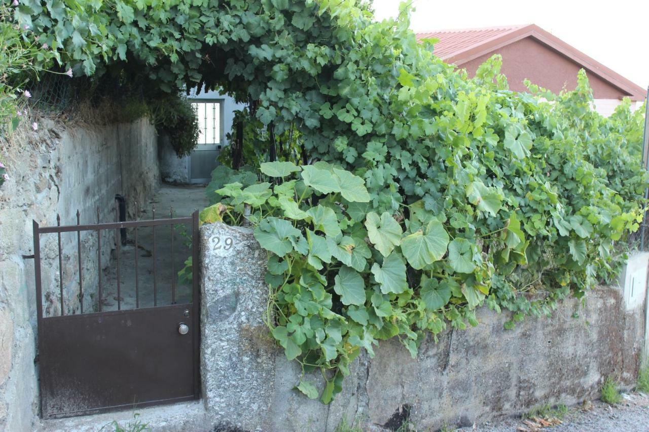 Alojamento Da Ribeirinha Carquere Bagian luar foto