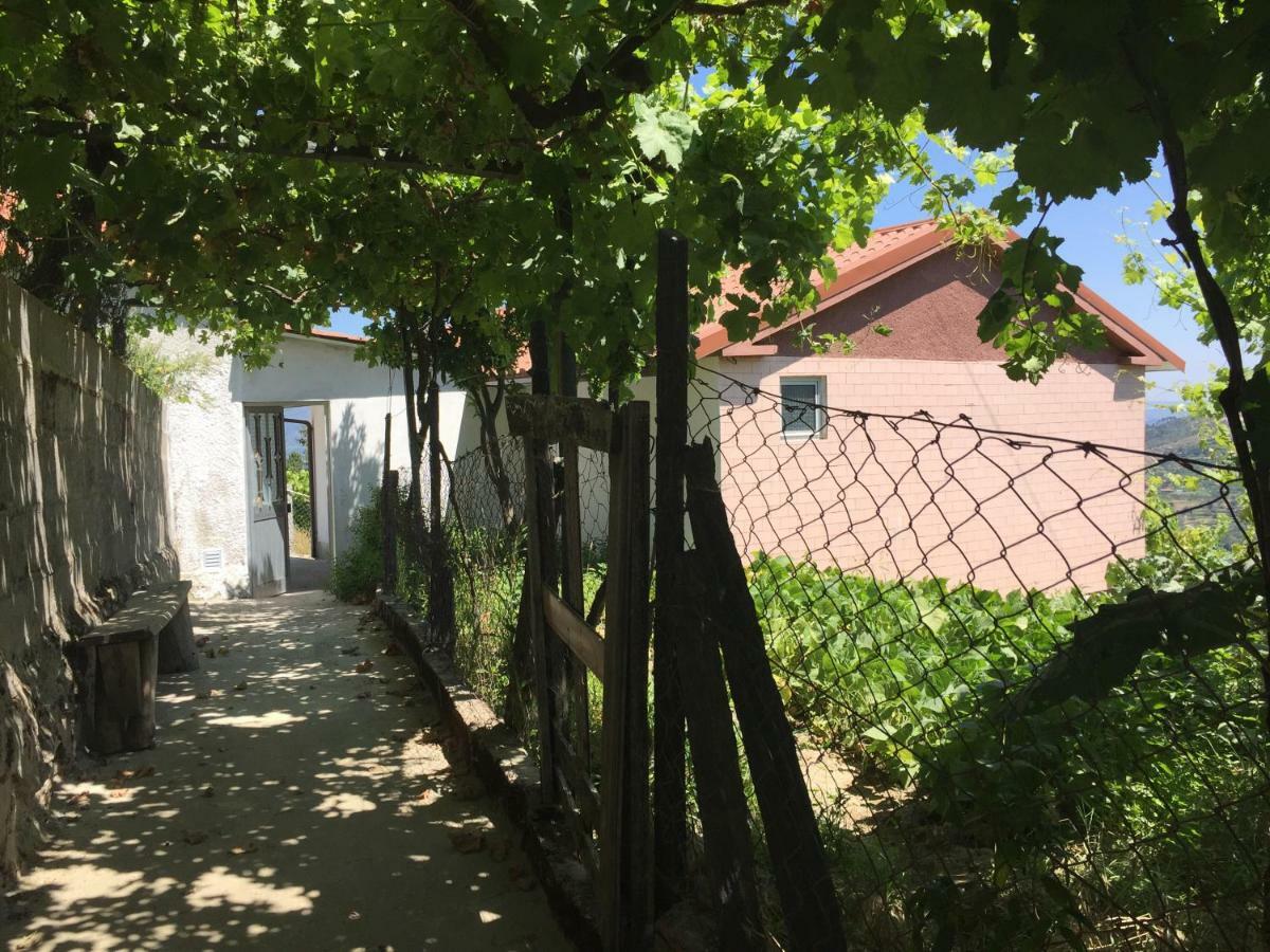 Alojamento Da Ribeirinha Carquere Bagian luar foto